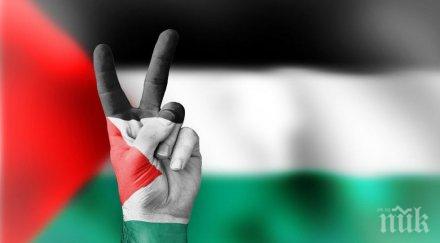 лигата арабските държави подкрепи палестина отхвърли мирния план сащ