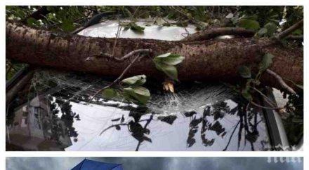 февруарска палитра силен вятър облаци слънце топло време температурите достигнат карта