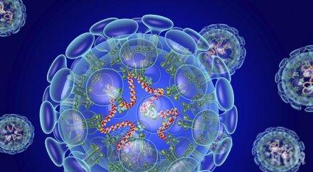 сензация показаха изглежда бял дроб засегнат коронавирус снимки