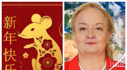 пик топ астроложката алена разкрива чака всяка зодия годината металния плъх