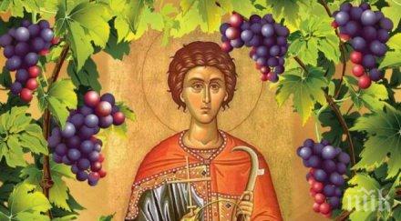 вяра трифон зарезан засадиха лозички строяща църква