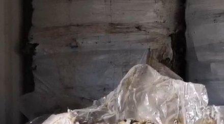 прокуратурата варна връщаме контейнера боклук италия