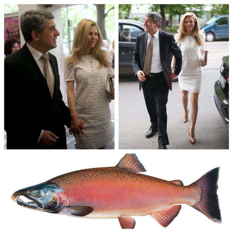 ПРЕЗИДЕНТСКИ ВКУС: Росен Плевнелиев пазарува сьомга с охрана - съпругът на Деси Банова поддържа фигура с рибния деликатес