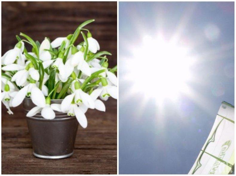 ФЕВРУАРИ СЕ ПОБЪРКА: Днес се подгответе за истински летни температури