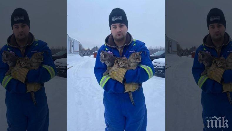 Нефтен работник спаси 3 котенца от измръзване с... горещо кафе (ВИДЕО)