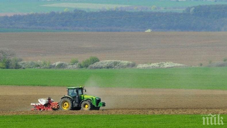Земеделец ядосан: Имаме 70-80% внос на стоки, които сами можем да произвеждаме