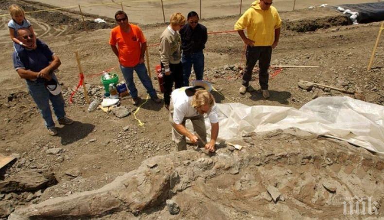 СЕНЗАЦИЯ: Учени проникнаха в черепа на един от най-древните хищници на планетата