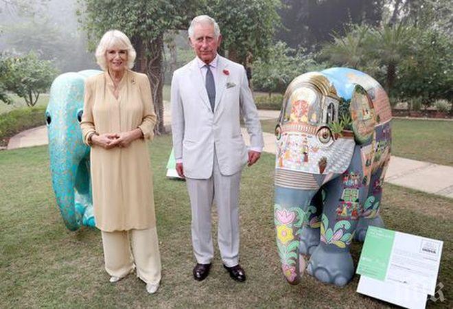 БОМБА НА ОСТРОВА: Принц Чарлз и Камила с извънбрачен син?