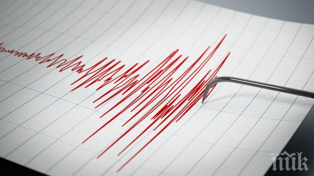 Земетресението във Вранча стресна русенци (ВИДЕО)