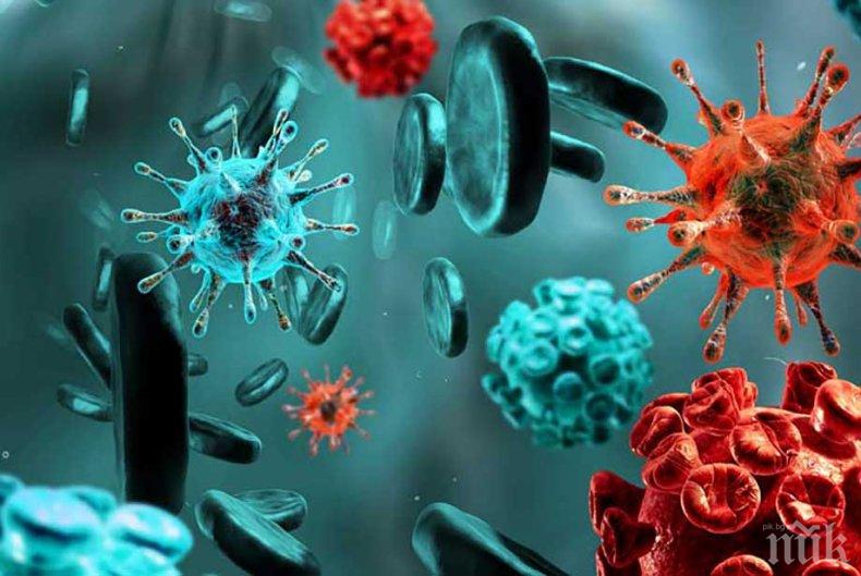 Как да се предпазим от вредните токсини