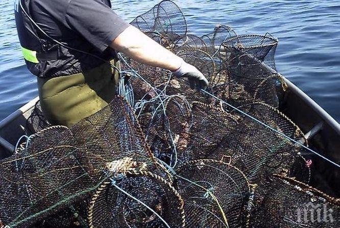 Бракониери си спретнаха гонка с лодки в морето край Иракли