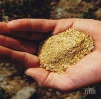 Откриха огромни залежи от злато в Босилеградско