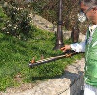 В Пловдив пръскат за комари още през март
