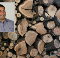 Откриха незаконна дървесина в дома на съветник от Стамболийски