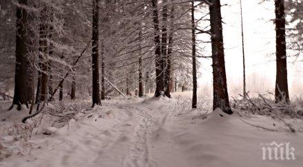 сняг затрупа жена русе
