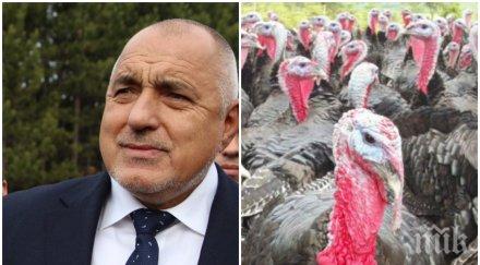 бойко борисов мисирките уникално видео