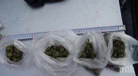 удар спецакция наркоразпространението видин щракнаха белезниците четирима снимки