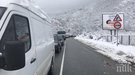 сигнал пик паднало дърво блокира пътя смолян десетки шофьори адска тапа снимки