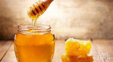 обмислят училищен плод мляко включва български мед