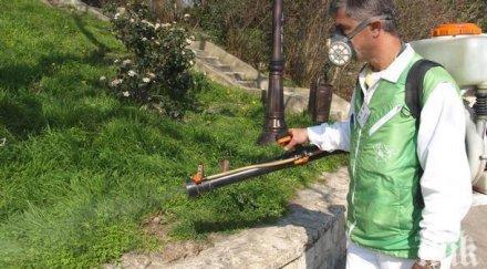 пловдив пръскат комари март