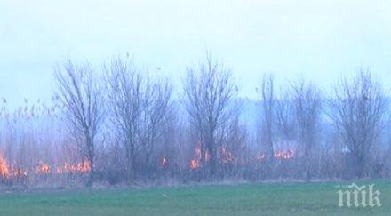 огнен гори защитена местност силистренско
