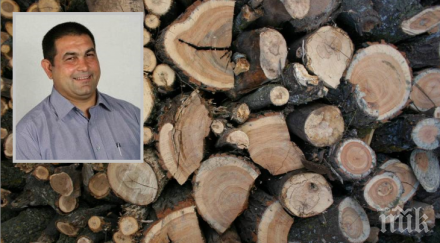 откриха незаконна дървесина дома съветник стамболийски