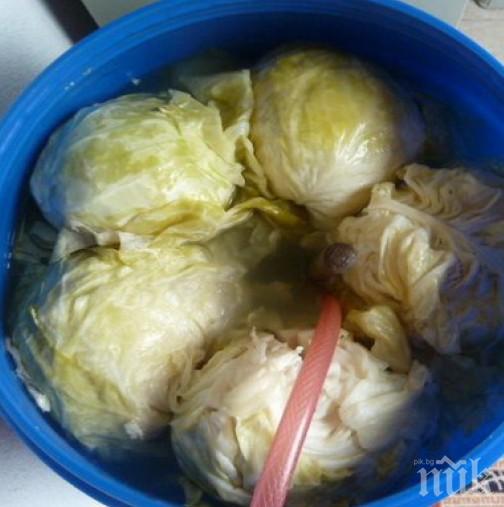 Три жени берат душа в болницата в Пазарджик - яли домашно кисело зеле