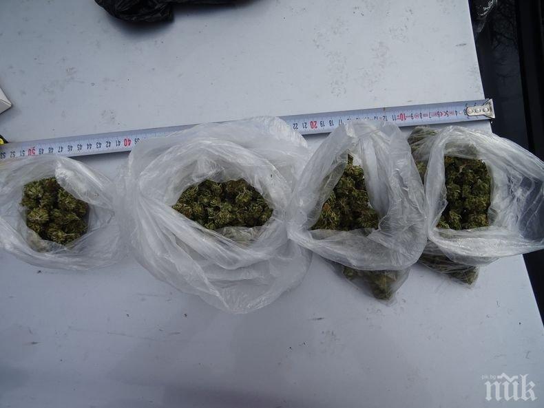 УДАР: Спецакция срещу наркоразпространението във Видин - щракнаха белезниците на четирима (СНИМКИ)