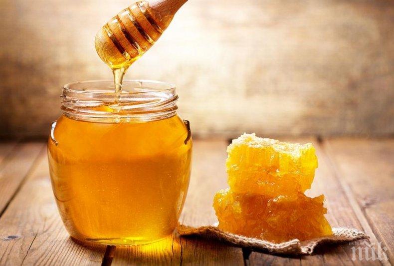 Обмислят Училищен плод и мляко да включва и български мед
