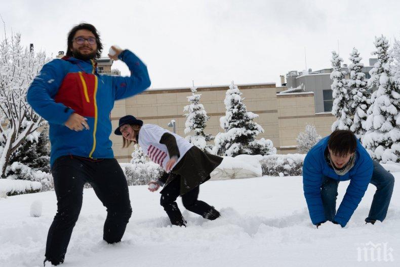 Посолството на САЩ у нас отпразнувало дългоочаквания снеговалеж с бой с топки (СНИМКИ)