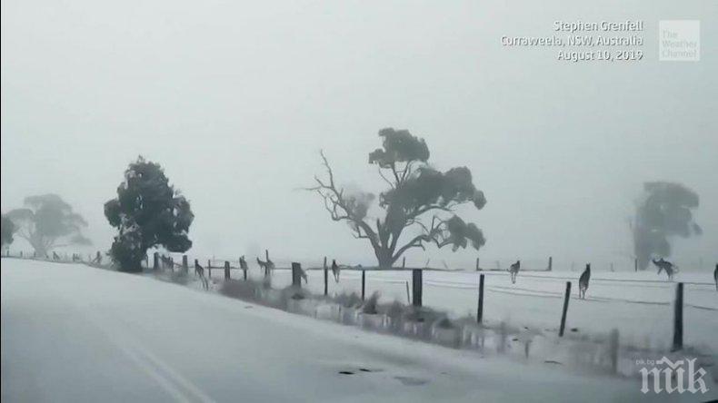 Силният снеговалеж блокира Северна Гърция