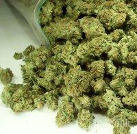 Турски граничари заловиха над 2 тона марихуана на границата с България 