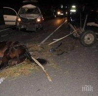 Жена бере душа след катастрофа с каруца