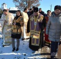 В Харманли зарязаха лозята (СНИМКИ)
