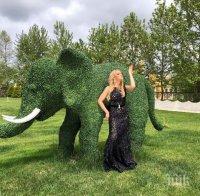 Соня Немска подпира палмите в Доминикана (СНИМКИ)