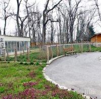 КАЦА БЕЗ ДЪНО: Наливат още още един милион в зоопарка на Пловдив