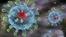 Излекуваха напълно първия японец, заразен с уханския коронавирус