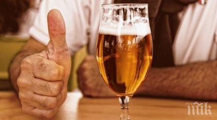 бира лактобацилус булгарикус