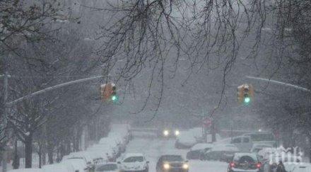 германия трескава подготовка бурята сабине