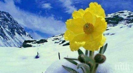 звездите говорят денят крие опасности избягвайте храна животински произход