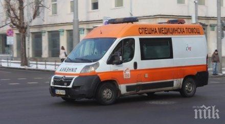 неадекватен джигит пежо отнесе жена светлоотразителна жилетка зебра бургас