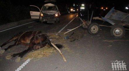 жена бере душа катастрофа каруца