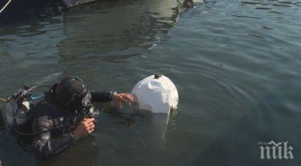 добър пример водолаз чисти рибарското пристанище созопол