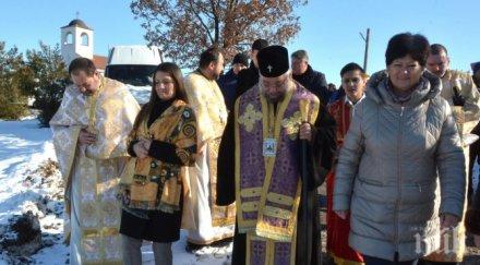 харманли зарязаха лозята снимки