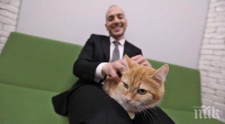 кауза николаос търси дом портокал цитиридков снимки