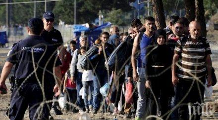 щат гърция наема 800 граничари борба бежанците