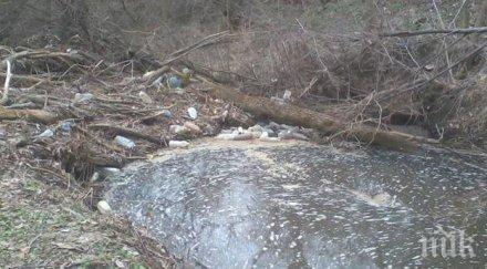 почистват реките плевенско клони дървета