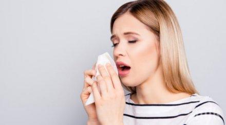 невероятно факт кихането показва бъдещето