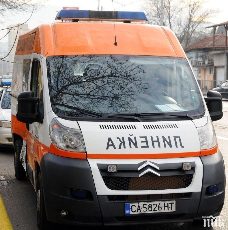 Шофьор загина при челен сблъсък край Монтана