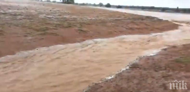 След пожарите, рекордни валежи наводниха Сидни (ВИДЕО)